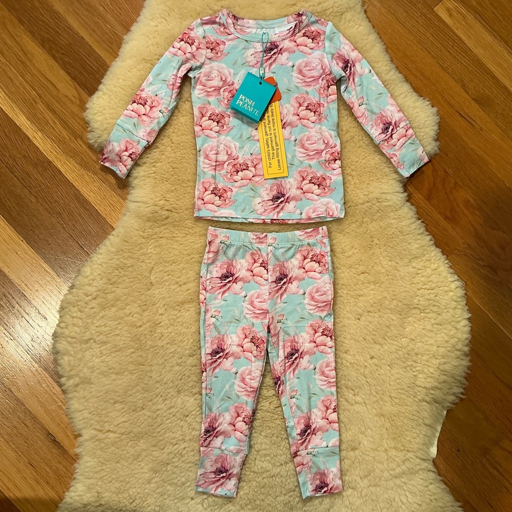 Posh Peanut pink and blue floral pajamas
